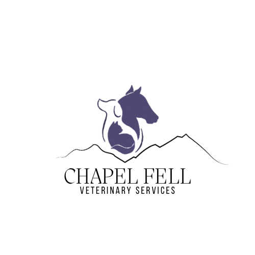 Chapel Fell Veterinary Acupuncture